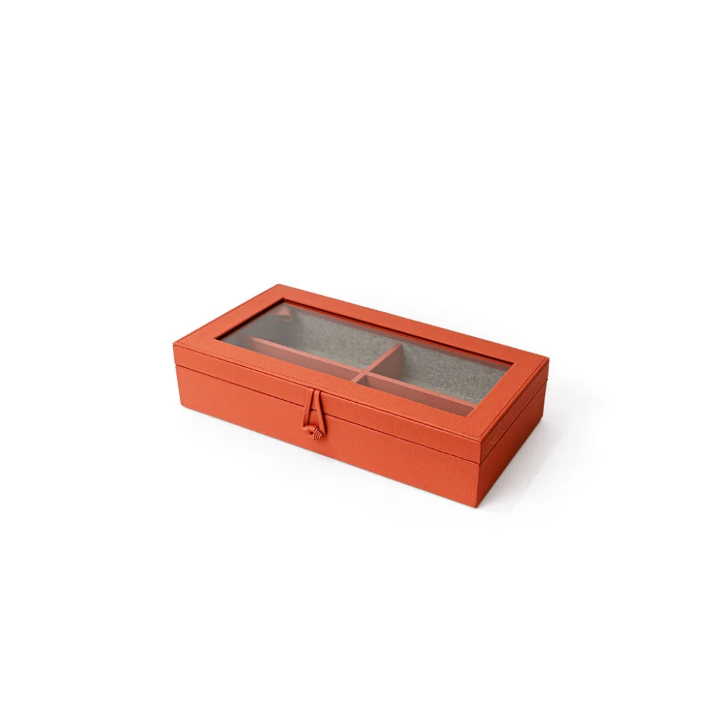 Caja 4 Lentes - Orange - Lentes