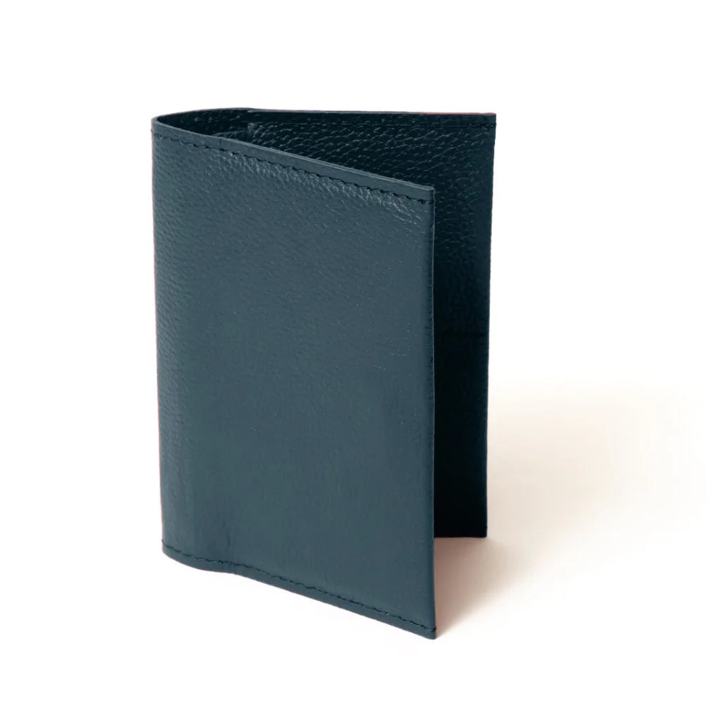 Funda Pasaporte - Azul Talavera - Viajes